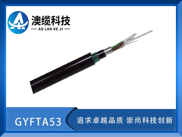 GYFTA53|GYFTA53|GYFTA53|r
