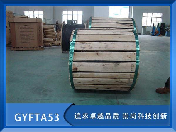 GYFTA53|GYFTA53|GYFTA53|r