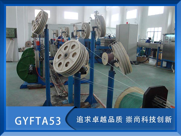 GYFTA53|GYFTA53|GYFTA53|r