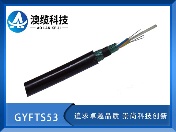 GYFTS53|GYFTS53|GYFS53|r