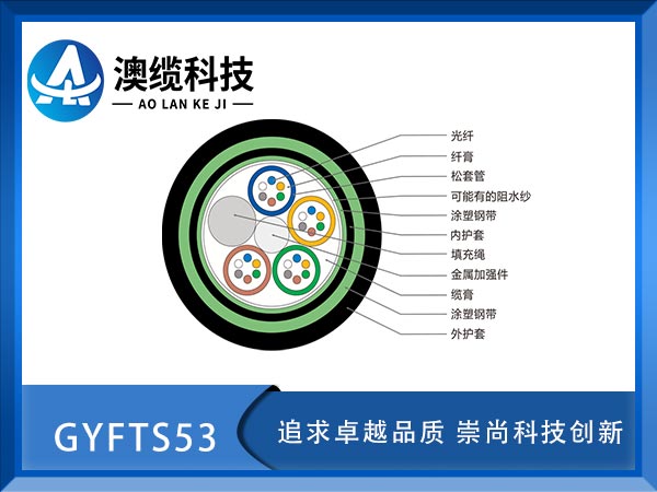 GYFTS53|GYFTS53|GYFS53|r