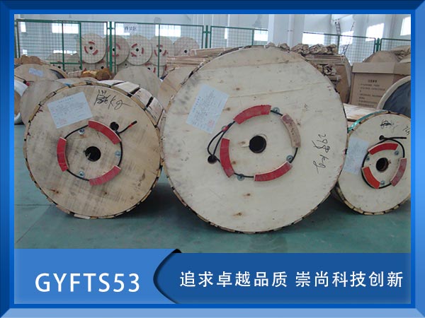 GYFTS53|GYFTS53|GYFS53|r