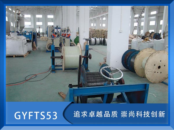 GYFTS53|GYFTS53|GYFS53|r