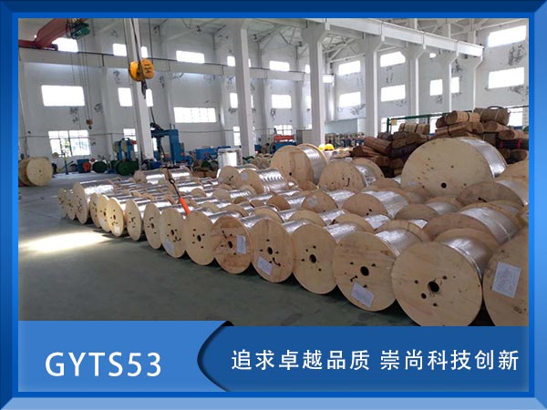 GYTS53|GYTS53|GYTS53|r